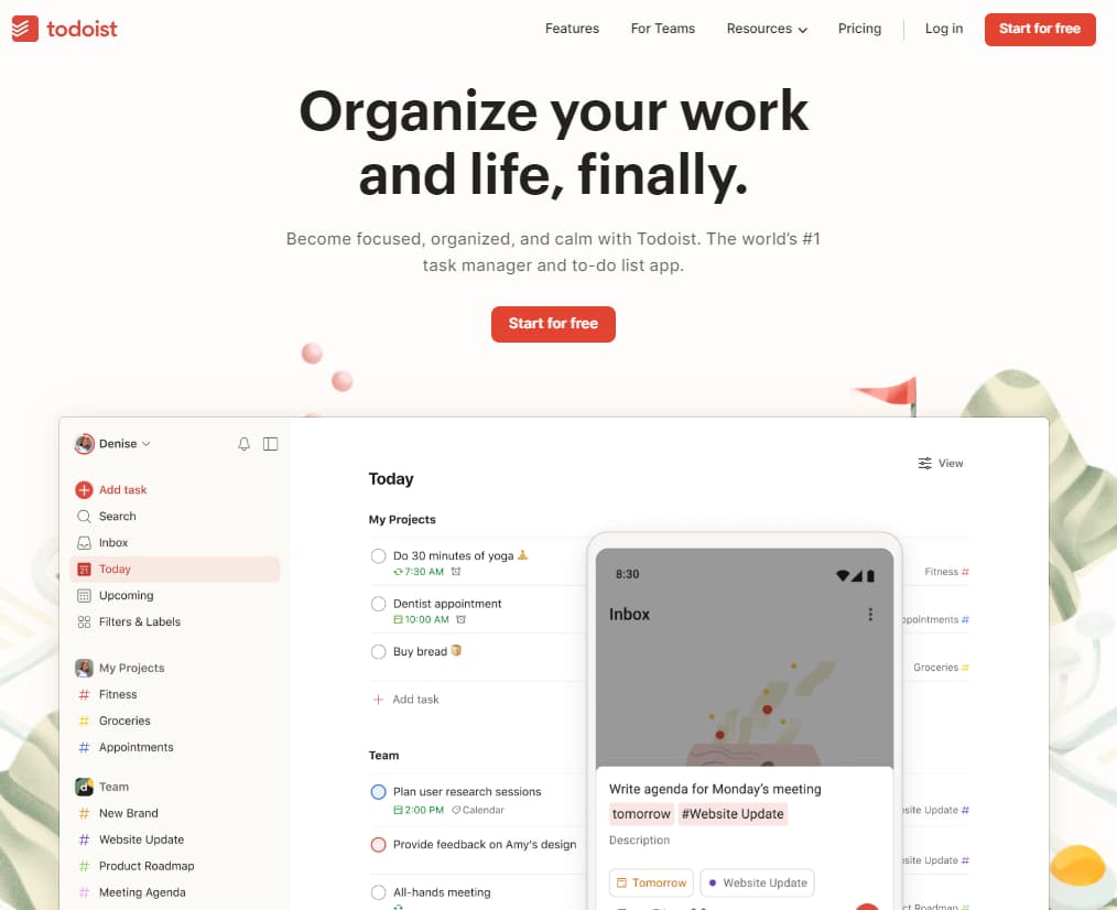 Todoist Vs Microsoft To Do: Task Management Software Review 1 Todoist To do List